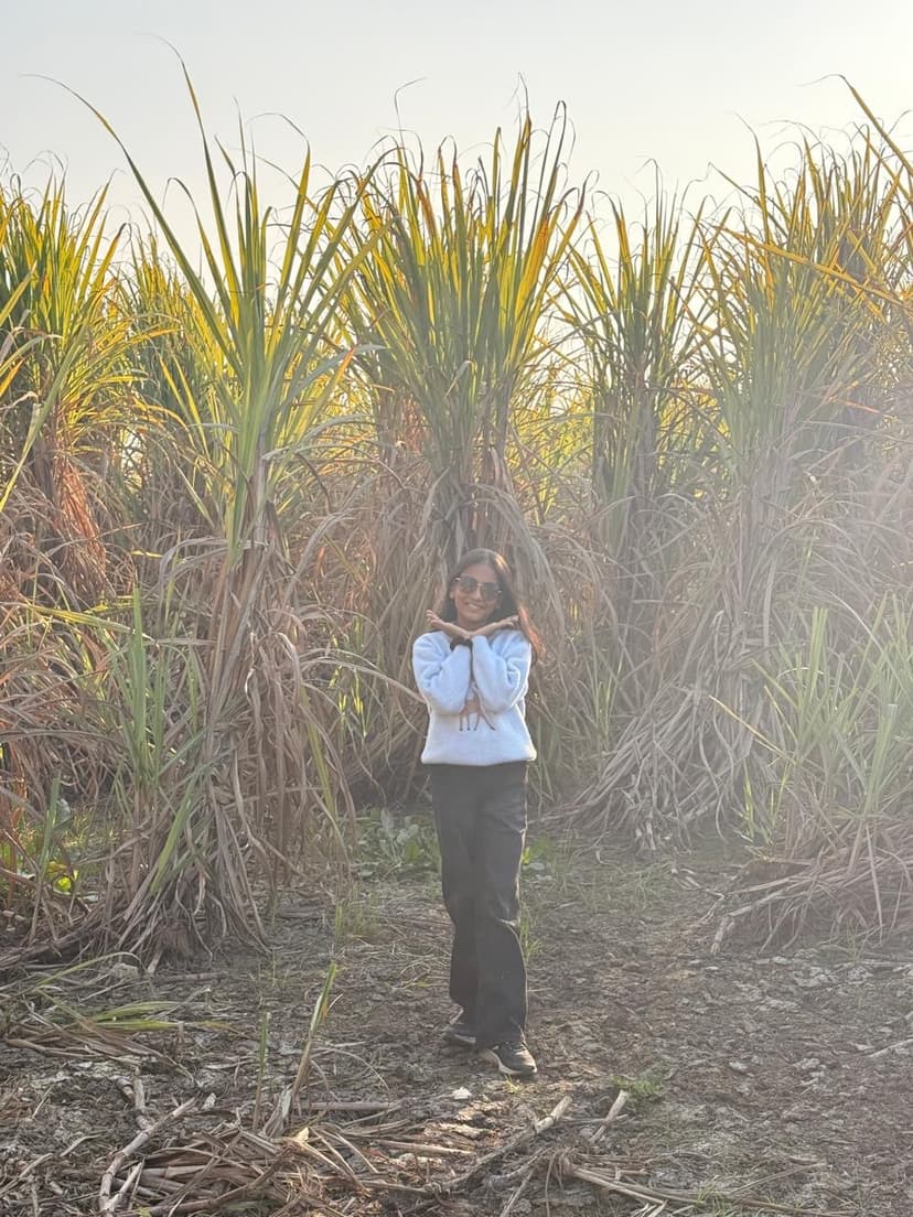 Khushi in sugarcane fields